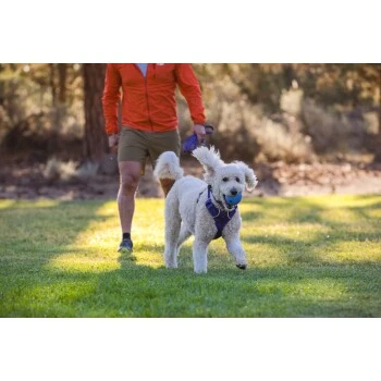 Ruffwear Huckama™ Spielzeug Violett 9 Ruffwear Huckama™ Spielzeug Violett – Bild 7