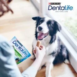 DentaLife PURINA Hunde Zahnpflege-Snacks Großpackung Medium, 84x -Tierbedarfs Rabatt Geschäft 3d22bf74a99660236ce1548620fac8aa3ac8818f 7dac1d18ca011066644ad899fee9fa3bcb5974f5