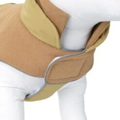 AniOne Leichter Wintermantel 24 Cm 11 AniOne Leichter Wintermantel 24 Cm -Tierbedarfs Rabatt Geschäft 3de8b8b0e14ef107f85dd000b43d0e0b384cdac4 1376688 de DE AniOne wb 8