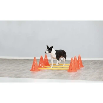 Trixie Dog Activity Hindernisse Ø23x30cm 4 Trixie Dog Activity Hindernisse Ø23x30cm – Bild 2