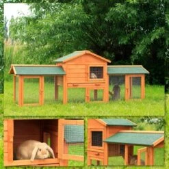 Lionto Kleintierstall, 212x52x85cm 15 Lionto Kleintierstall, 212x52x85cm -Tierbedarfs Rabatt Geschäft 3e2307cf4cca07e4b383646a28a2024abb5ff4b9 1498014 de DE cacdc7f5a12aa45424ba09cf7083871463e069bb4Y71O7