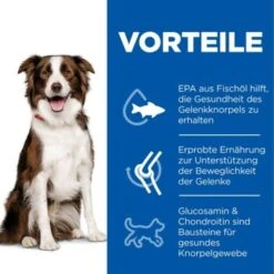 Hill's Science Plan Healthy Mobility Medium Breed Adult 1+ Mit Huhn 14 Kg -Tierbedarfs Rabatt Geschäft 3fcaebf69525b009c44756b18933a850b2f3883d 52742026138 4