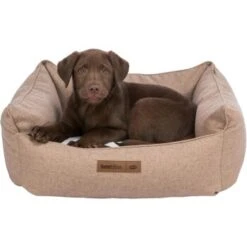 Trixie Bett Farello Braun 50 Cm, 25 Cm, 50 Cm 7 Trixie Bett Farello Braun 50 Cm, 25 Cm, 50 Cm -Tierbedarfs Rabatt Geschäft 4027e63d9476c44d9d7f695714f196e2905cdc30 1383453 de DE 448cc0da43e601f2ae93dd23795f3e23f2e1d335ibC2Wc