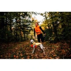 Ruffwear Lumenglow™ High-Vis Hundejacke Orange XL -Tierbedarfs Rabatt Geschäft 40663366cb362acd2f222531a6c489c5dd028940 1378153 de DE 6ea16c8681e07ff1404b1bde8c0b1b4ddb6fa478XOeqLy