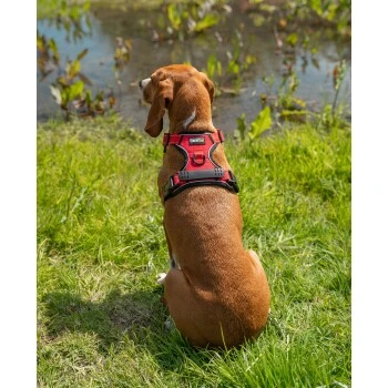 Lionto Hundegeschirr Rot S 4 Lionto Hundegeschirr Rot S – Bild 2