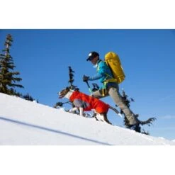 Ruffwear Furness™ Hundejacke Grau S -Tierbedarfs Rabatt Geschäft 4087147dd56ca23b69da19a23095df2e3fcf8a0d 1639614 de DE 93126a293d8b745c831f949261942ce96e13bb7etLLUVR