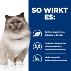 Hill's Prescription Diet Weight Loss R/d Mit Huhn 1,5 Kg 14 Hill's Prescription Diet Weight Loss R/d Mit Huhn 1,5 Kg -Tierbedarfs Rabatt Geschäft 4136aeb6e7761220774a7156c9c18f4d4c11e559 e705b74991984d0f27bdc826ecff83edb5fb0b5a