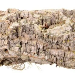 HappyBird Sitzstange Natur Kork L 14 HappyBird Sitzstange Natur Kork L -Tierbedarfs Rabatt Geschäft 4219bfe3ca891eef1cb492a7d523955c5a87acdb 1416844 de DE 36da01729119466b9455d5ee60fee4c9e37394097Q8Hd8