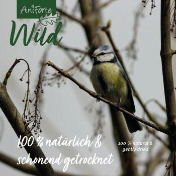 Aniforte Wild Soldatenfliegenlarven 800g 6 Aniforte Wild Soldatenfliegenlarven 800g – Bild 4
