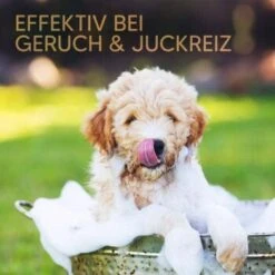 Pawlie's Welpenshampoo 13 Pawlie's Welpenshampoo -Tierbedarfs Rabatt Geschäft 42f9c58257fb2002e5c33c2d81bd829c9adeb1cc 1626204 de DE 8b17d3990cf88ea437c76c60b6848183bc9636a5a44ihJ