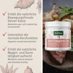 Aniforte 4in1 Complete Cat 60g -Tierbedarfs Rabatt Geschäft 433174568e18224fd341b5ca349c776d85d96ab2 1332844 de DE 0aa93cc915c5d5bb812b052b88179a1f5f51f297zDGJEt