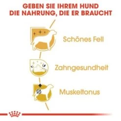 ROYAL CANIN Poodle Adult 7,5 Kg 12 ROYAL CANIN Poodle Adult 7,5 Kg -Tierbedarfs Rabatt Geschäft 4355b892883386eeffdea0883bc90c793459812d bc34c65453008173386e7fdf784644e070da89b9