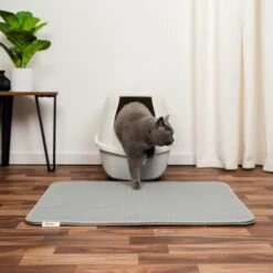 Lionto Doppellagige Katzenstreu-Matte L 9 Lionto Doppellagige Katzenstreu-Matte L -Tierbedarfs Rabatt Geschäft 4396bb19d2c98d673f3e5360e11273f9f80f7fc7 1657012 de DE dff22ef02999533f13653cbf8dd630ba7757eabdQ8EdtB