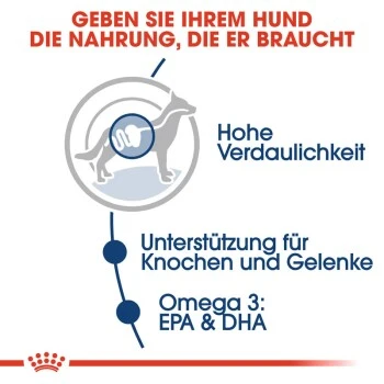 ROYAL CANIN Maxi Adult 10x140g 9 ROYAL CANIN Maxi Adult 10x140g – Bild 7