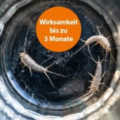 Ardap Silberfischchen Köderdose 4er Pack -Tierbedarfs Rabatt Geschäft 44c38352a1e90439028a6a399a6d84d856169da4 1491615 de DE 6352379a7404bc513d6bcf3313a7de6b9673dd65mT3bI3