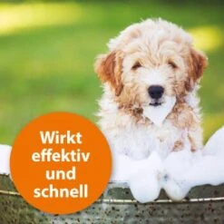 Ardap Anti Zecken Shampoo Für Hunde 250ml 13 Ardap Anti Zecken Shampoo Für Hunde 250ml -Tierbedarfs Rabatt Geschäft 45234aab493187b4f025c9c1611ba91401852a61 1289723 de DE 011c29b51870fd299b578444e9341eb4fefc30b304XMpl