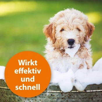 Ardap Anti Zecken Shampoo Für Hunde 250ml 7 Ardap Anti Zecken Shampoo Für Hunde 250ml – Bild 5