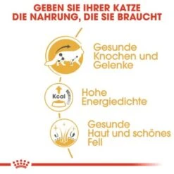 ROYAL CANIN Maine Coon 12x85g 12 ROYAL CANIN Maine Coon 12x85g -Tierbedarfs Rabatt Geschäft 45de5de28bb0cf1702840672ec10e019d1069826 1229815 de DE rc 3