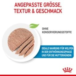 ROYAL CANIN Starter Mousse 12x195g -Tierbedarfs Rabatt Geschäft 460ae1eaaa29330e0bada96cf27a9bde040c20a9 9003579010532 4