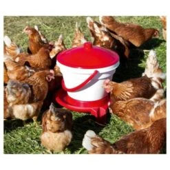 Kerbl Geflügeltränkeeimer 12L Mit Füße Und Tragebügel -Tierbedarfs Rabatt Geschäft 46c445279d8bf8406716f32b719c08bcadede088 de3def0157ac71d97be4cc2e461b2f6c904de118