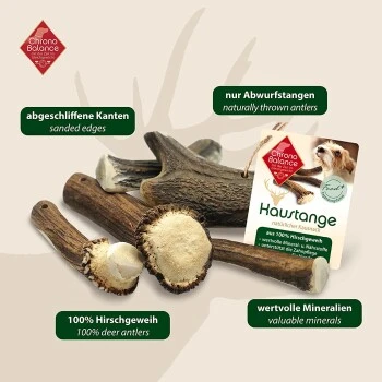 ChronoBalance Geweih Halbiert (M) 2er Paket 8 ChronoBalance Geweih Halbiert (M) 2er Paket – Bild 6