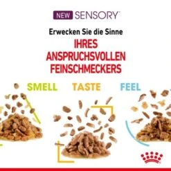 ROYAL CANIN SENSORY Smell In Gelee Für Wählerische Katzen 12x85g -Tierbedarfs Rabatt Geschäft 4a632532d23d065e189b82401db5c561b6749e74 bbe7e159ee2cfcc0155771b211da953377ec5c40