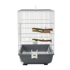 Savic Vogeltransportbox Primo 40 7 Savic Vogeltransportbox Primo 40 -Tierbedarfs Rabatt Geschäft 4aeda3786834925f746c438163a76ed4011f593f 12e655fdf65511fe56889f1815df1d72bb48c726