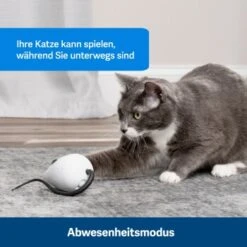 PetSafe Automatisches Katzenspielzeug RoloRat -Tierbedarfs Rabatt Geschäft 4e48313abe110e77b48862456b3054c8cbc622dd 1351522 de DE cc35ab35cec54291341f643ff079f60e72f56895BvuHXl