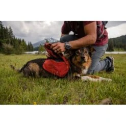Ruffwear Front Range™ Hundetagesrucksack Rot XS 18 Ruffwear Front Range™ Hundetagesrucksack Rot XS -Tierbedarfs Rabatt Geschäft 4e85c5fcf8221559a11a36a85cf18292f16c7ae6 1639836 de DE e32c1ef235eed898fdfb11ee92e223827867be67d4f5kE