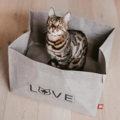 Canadian Cat Company Katzenbett Winnipeg -Tierbedarfs Rabatt Geschäft 4f163c23f3c00759be25633fb22100eb50b10eed 1360995 de DE e27163ea0c21fd571c9e22268b69a4d1b68affe5UBt2yy