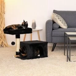 Lionto Kratzbaum 50 Cm Schwarz 9 Lionto Kratzbaum 50 Cm Schwarz -Tierbedarfs Rabatt Geschäft 4f6b493d945c7ea9372c95be20a63045226873e1 1657017 de DE 00f0130c5d94cc47a7b7d64f9006a0669bb47b78zvlIy2