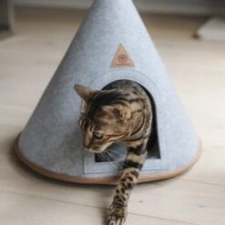 Canadian Cat Company Katzenzelt Cone -Tierbedarfs Rabatt Geschäft 5109d27ef761061b6b743871ab0498da3478f504 1394210 de DE f112ffaf078c6f8bf03764511a0d90aab2c21021HdDAgd