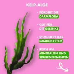 Irish Pure - Lamm, Huhn + Gemüse & Kelp 1,5 Kg -Tierbedarfs Rabatt Geschäft 527ec7baa2a3e80bcac0c1cde535b92d605f38d5 1274251 de DE 88d675ba0abf74bb033298bd2dc7e9ecc2e4cb56ZJYwrx