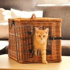 Aumüller Katzenhöhle Eckig -Tierbedarfs Rabatt Geschäft 55450489d235d9ce83ff96cc8b4e3c05d5f9850a a4c4ea7cad20b9a0abc8b1ae89e0fbac9d4fe21f