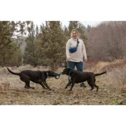 Ruffwear Pacific Ring™ Spielzeug Blau/ Türkis 16 Ruffwear Pacific Ring™ Spielzeug Blau/ Türkis -Tierbedarfs Rabatt Geschäft 55dba30b9a5e3fc77d29bb72e0dc6fad83c40ffc 1444351 de DE 8a3b2d989e7fae2c85eabfcfca3bb7709484f9a3jKDH9l