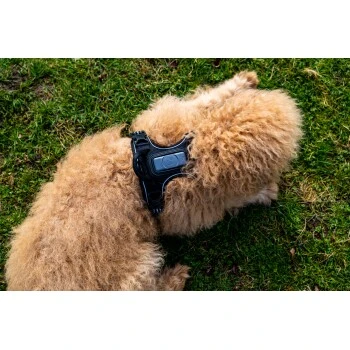 Fressnapf Tracker Pathfinder Geschirr Set S 9 Fressnapf Tracker Pathfinder Geschirr Set S – Bild 7