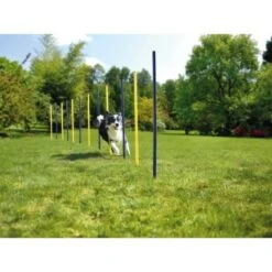 AniOne Agility Set -Tierbedarfs Rabatt Geschäft 57d0a4066068001e9199a8836922b7a9a69a9a13 5b90fc3282e3f36a151043eb4999c7a431fb4558