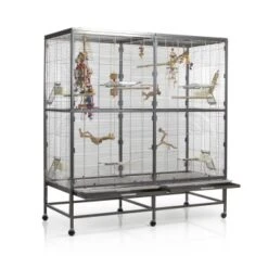 Montana Cages Voliere Paradiso 150 Hellgrau/ Dunkelgrau 14 Montana Cages Voliere Paradiso 150 Hellgrau/ Dunkelgrau -Tierbedarfs Rabatt Geschäft 57d765c5251d220f7fb80b9e17dd7c30bed7aa9a 1330426 de DE 32a0a07122e2d2167ed99c854ac82bd80c6ddd4fR7g0HT