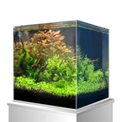 Amtra Nanoscaping Weisglassbecken 15 L 9 Amtra Nanoscaping Weisglassbecken 15 L -Tierbedarfs Rabatt Geschäft 58236b3cab086b84dd3cc2e4cf34565296c2c99b 8324f35622550151fdc74ef4d8f4c3f144a7a312