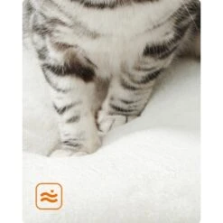 FEANDREA Kratzbaum 86cm Vintagebraun Dunkelgrau -Tierbedarfs Rabatt Geschäft 59c8f7dbe684955dce05fd55642a4efbe0124a91 1483574 de DE cb5b6b9bf568cfcabae2338f3d74a869baf9bd1cxK0b3y