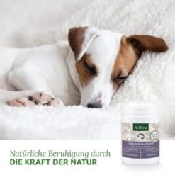 Aniforte Calm & Relax Kräuter 100g 8 Aniforte Calm & Relax Kräuter 100g -Tierbedarfs Rabatt Geschäft 59d8edf488dbbfa5326d02c9bc480ebe764b40aa 1477975 de DE 8fdc0dbb13dd77bc918a019d832ea481c7670a35vrdXJ1