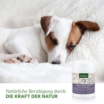 Aniforte Calm & Relax Kräuter 100g 5 Aniforte Calm & Relax Kräuter 100g – Bild 3