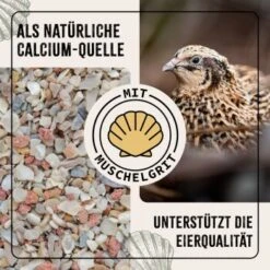 Aniforte FarmLife Wachtel Futter Müsli 5 Kg -Tierbedarfs Rabatt Geschäft 5c64a4834b1d5c3d770afbb8fa837de973642f64 1496424 de DE a999ac4c5a047c143d0ce2e685e5a1524cb2bee3YW5heI