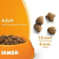 IAMS Vitality Adult Huhn 3 Kg 8 IAMS Vitality Adult Huhn 3 Kg -Tierbedarfs Rabatt Geschäft 5cc22cd2a44ecd5a4c8b32cdf831aaf32b3acb04 8a09c9b4d59acf1fe271e30fb9f6c8d2bc5c5a55