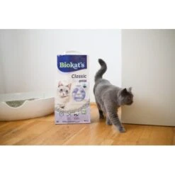 Biokat's Classic 3in1 Extra 14 L -Tierbedarfs Rabatt Geschäft 5d52880c5f6cb6a968c367a4df6d22f3606a92d3 1422137 4