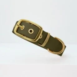 THE DOG IDEA Biothane Halsband Gold Khaki M 8 THE DOG IDEA Biothane Halsband Gold Khaki M -Tierbedarfs Rabatt Geschäft 5f39446a1ee14dab16a89a3689929003861983a8 1655419 de DE fdcb084ec6e1b995d3a74426085016a70227a578xTiAJp