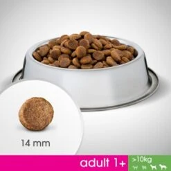 PERFECT FIT Adult 1+ Huhn M/L 6kg 17 PERFECT FIT Adult 1+ Huhn M/L 6kg -Tierbedarfs Rabatt Geschäft 60a46bf0c36b4d08300c5be02ab247fcab8c8c4b 1342010 de DE Foodshot 3