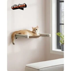FEANDREA Clickat Katzenmöbel 3er Set, Für Die Wand 14 FEANDREA Clickat Katzenmöbel 3er Set, Für Die Wand -Tierbedarfs Rabatt Geschäft 60f69f4a642f0d59e84f4714b442d728b55f724b 1681459 de DE a39910e1400039cebe0247b4991dedcb1a62d9ddWMEogu
