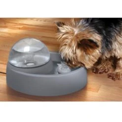 Numaxes Eyenimal Trinkbrunnen 1,5l 8 Numaxes Eyenimal Trinkbrunnen 1,5l -Tierbedarfs Rabatt Geschäft 612512ae3e55fd25731acfc2a0abcdc5bfeba8fb b7754bc2b320ccef10b70045a810474d6996a8cb