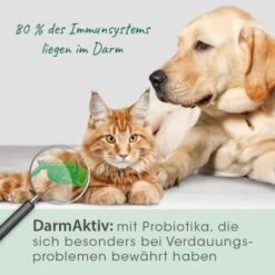 CdVet DarmAktiv Hund & Katze 9 CdVet DarmAktiv Hund & Katze -Tierbedarfs Rabatt Geschäft 61f29e5980c4b06d95f046e2dd0ff7b7b380adab 1669873 de DE 66d77af30df831d7a5e35ea30ba5d794967fec9fjPN9mJ